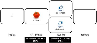 Electrophysiological Correlates of Error Monitoring and Feedback Processing in Second Language Learning
